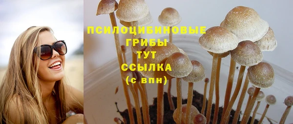 2c-b Абдулино